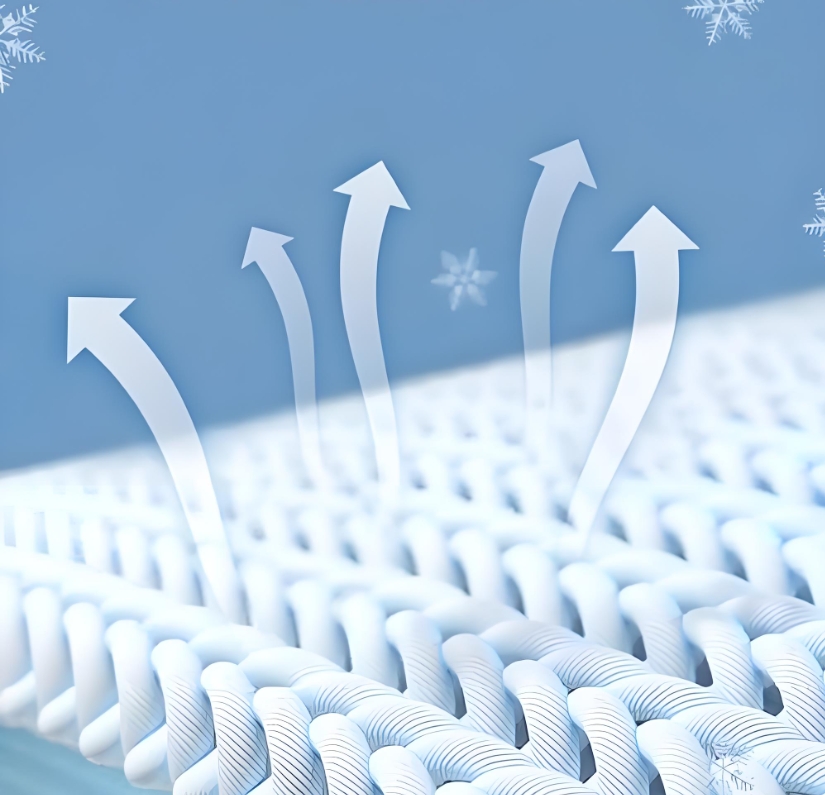 微信截图_20241224125144